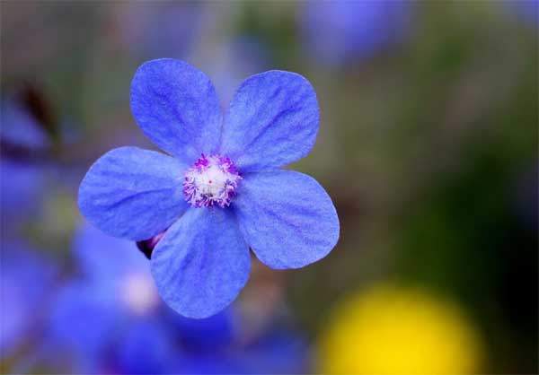 Tử vi ngày 19/4, 3 con giáp gặp thời, đầu tư thắng đậm, cuối tháng tiền tài đầy túi-3