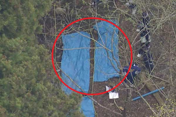 Bắt giữ diễn viên đình đám vì liên quan đến vụ án mạng 2 thi thể nam nữ bị đốt cháy, xếp hình chữ thập-6