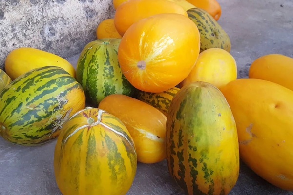 1 loại quả thanh mát bán rẻ ở chợ Việt nhưng tốt ngang nhân sâm, tổ yến: Vừa hạ đường huyết, vừa tốt cho tim mạch-1