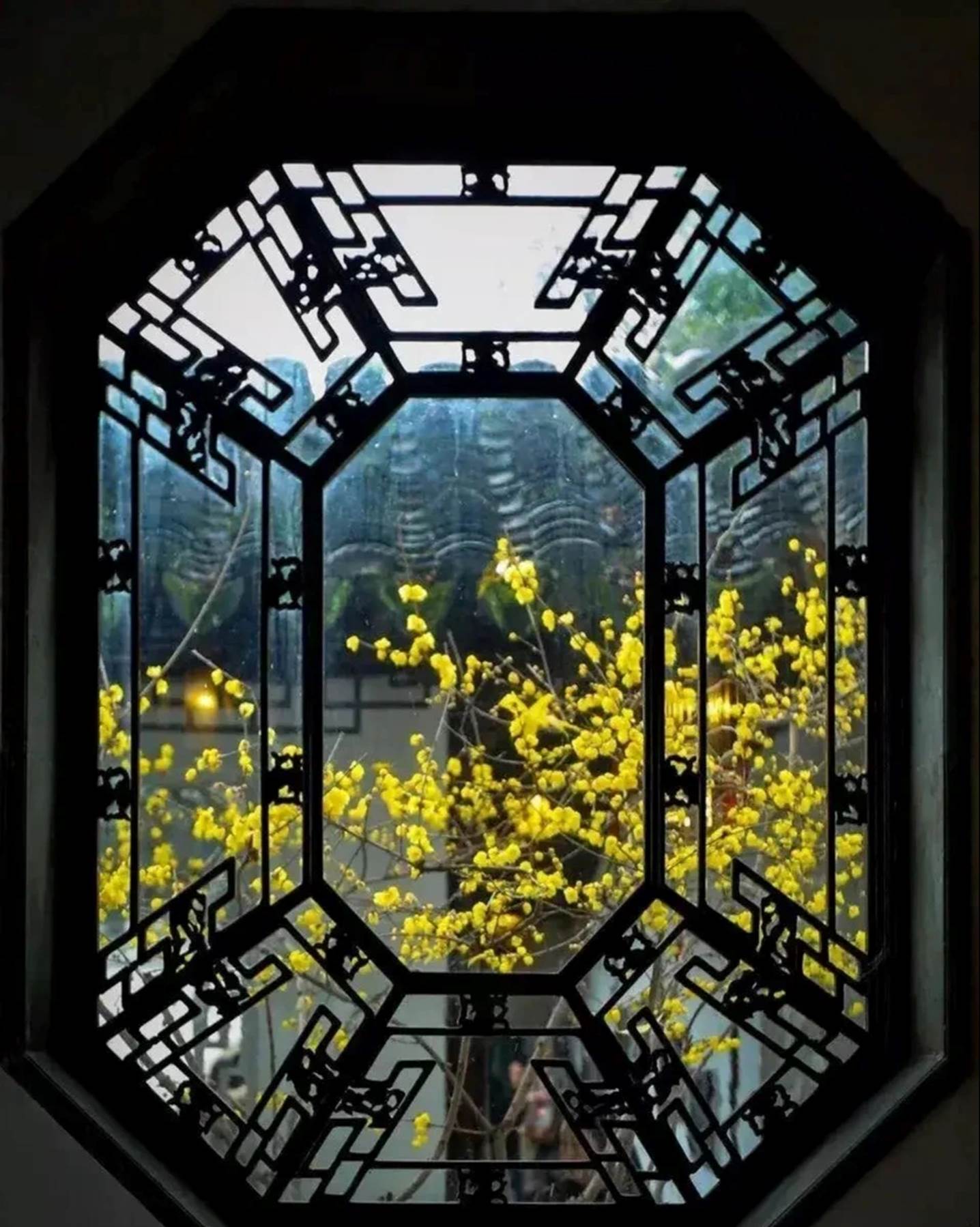 Nếu bạn có 1 khung cửa sổ, hãy trồng cây cảnh này để có góc thưởng trà đẹp mê hồn-9