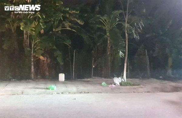 Thiếu nữ bị bạn trai sát hại ở Hải Phòng: Mẹ nạn nhân vật vã khóc đòi con-2