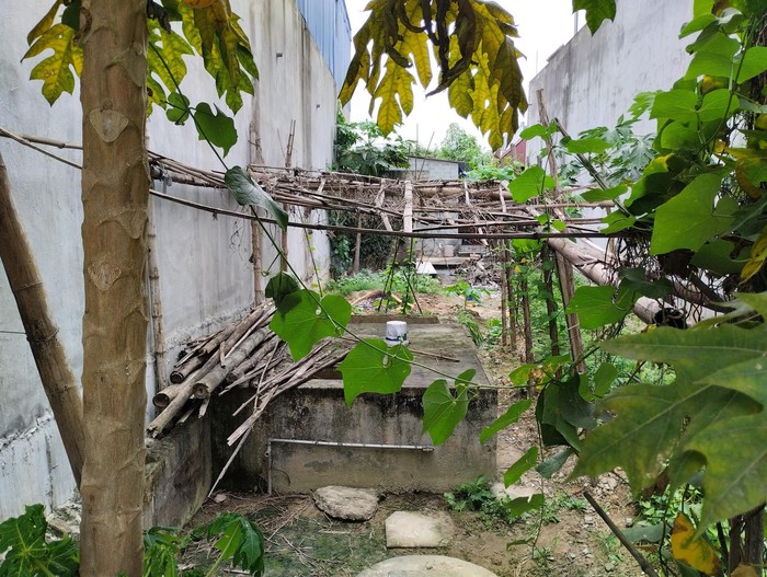 Hiện trường vụ thiếu nữ 15 tuổi nghi bị sát hại, chôn xác trong vườn tại Hải Phòng-3