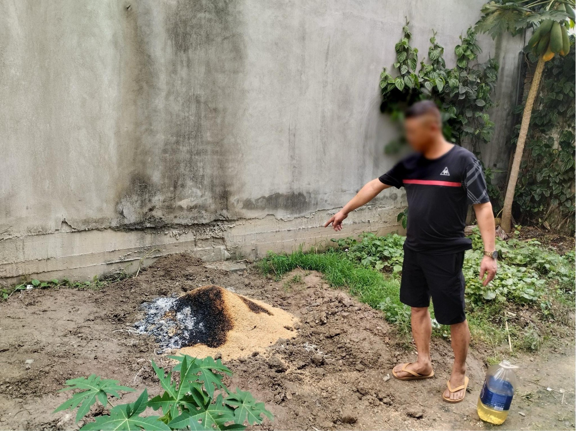 Hiện trường vụ thiếu nữ 15 tuổi nghi bị sát hại, chôn xác trong vườn tại Hải Phòng-5