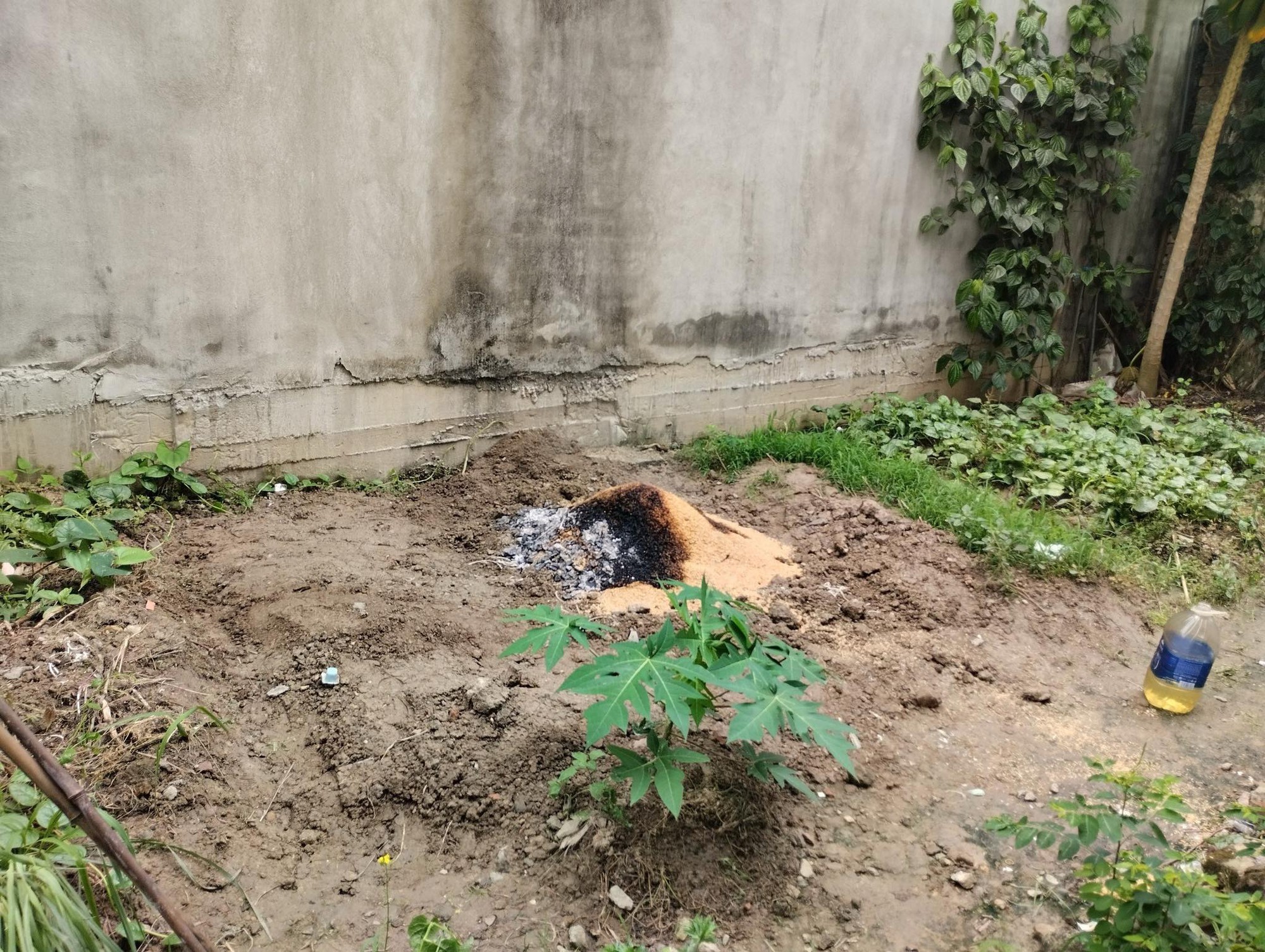 Hiện trường vụ thiếu nữ 15 tuổi nghi bị sát hại, chôn xác trong vườn tại Hải Phòng-6