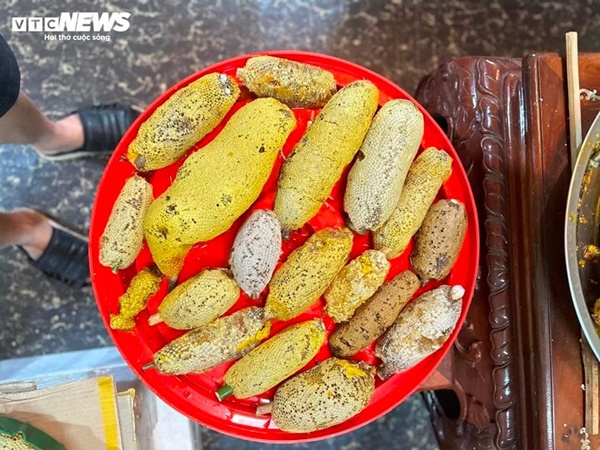 Mật ong ruồi tí hon giá tiền triệu/lít có gì độc lạ?-3