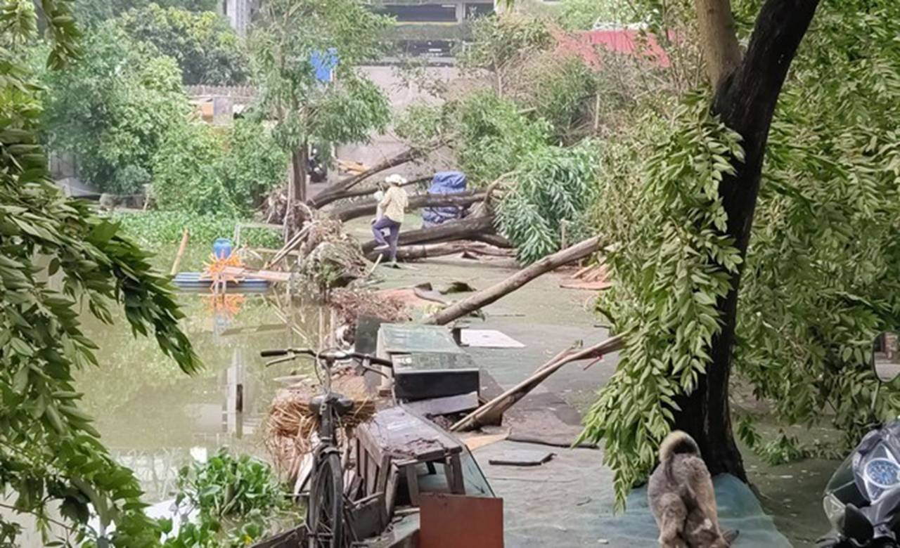 Hà Nội sau trận mưa lốc kinh hoàng: Hàng loạt cây cối đổ rạp, nhà trọ bị cuốn bay mái khiến bố mẹ phải ôm con di tản trong đêm-5
