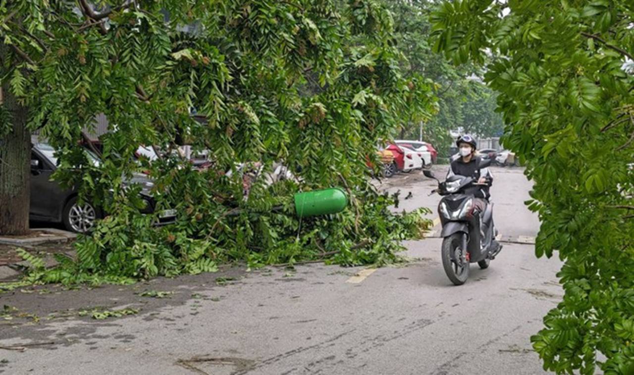 Hà Nội sau trận mưa lốc kinh hoàng: Hàng loạt cây cối đổ rạp, nhà trọ bị cuốn bay mái khiến bố mẹ phải ôm con di tản trong đêm-6