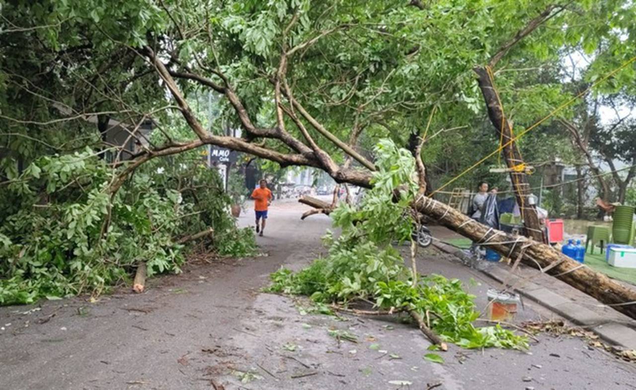 Hà Nội sau trận mưa lốc kinh hoàng: Hàng loạt cây cối đổ rạp, nhà trọ bị cuốn bay mái khiến bố mẹ phải ôm con di tản trong đêm-7