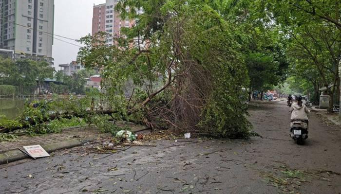Hà Nội sau trận mưa lốc kinh hoàng: Hàng loạt cây cối đổ rạp, nhà trọ bị cuốn bay mái khiến bố mẹ phải ôm con di tản trong đêm-8