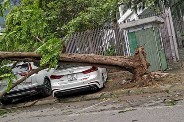 Nữ quái giả trang sinh viên trà trộn vào ký túc xá trộm hàng loạt laptop-2
