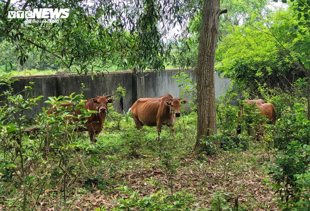 Cảnh u ám bên trong trung tâm chữa bệnh của ‘thần y’ Võ Hoàng Yên ở Hà Tĩnh-13