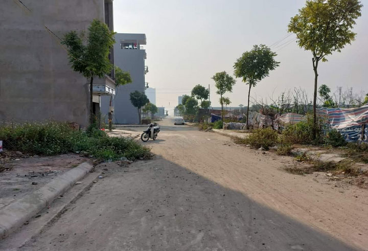 Giao dịch đất nền loé sáng hay thị trường giả của môi giới?-2