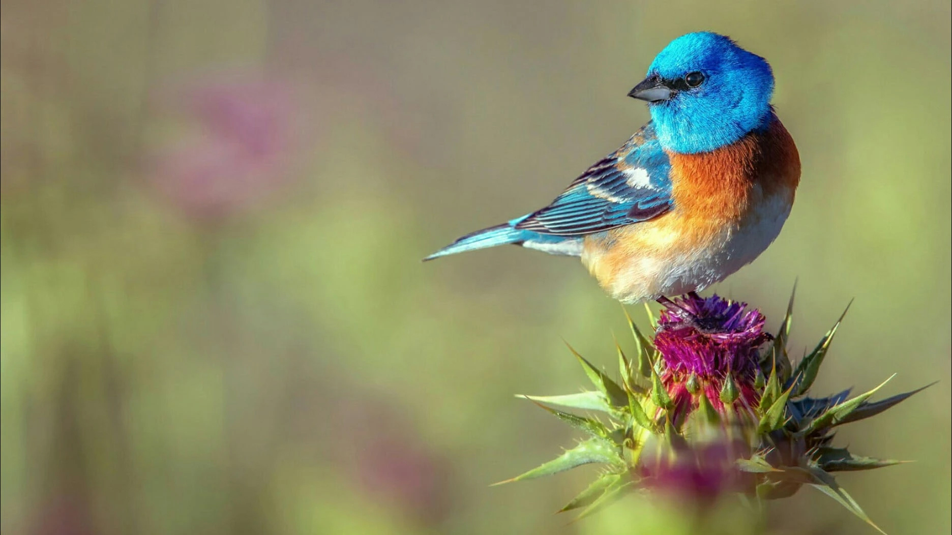 Tháng 4 Âm lịch, 3 con giáp giảm bớt trắc trở, chuyện tốt thường xuyên xảy ra, vận may ập đến nhà-2