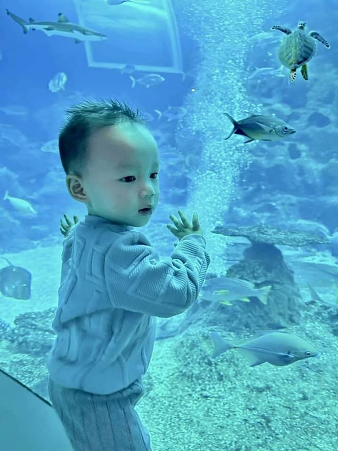 Bảo Thy nuôi con bình dân để bé cứng cáp, phát triển trí não lại nhưng bị nói bé còi quá-7