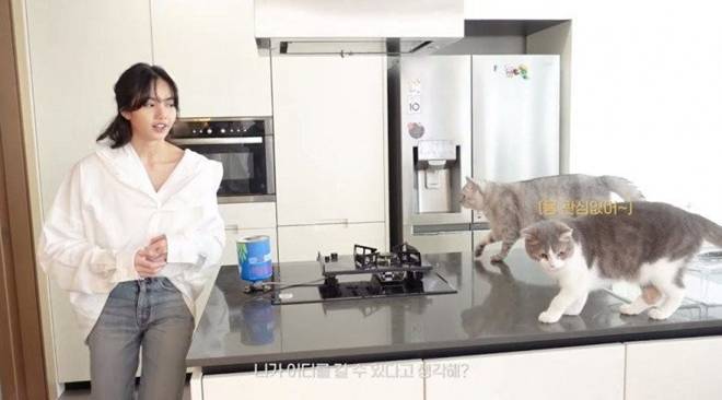 Khối tài sản đáng nể của Lisa (BlackPink): Cơ ngơi 100 tỷ ở Mỹ, biệt thự ở khu nhà giàu Hàn Quốc-13