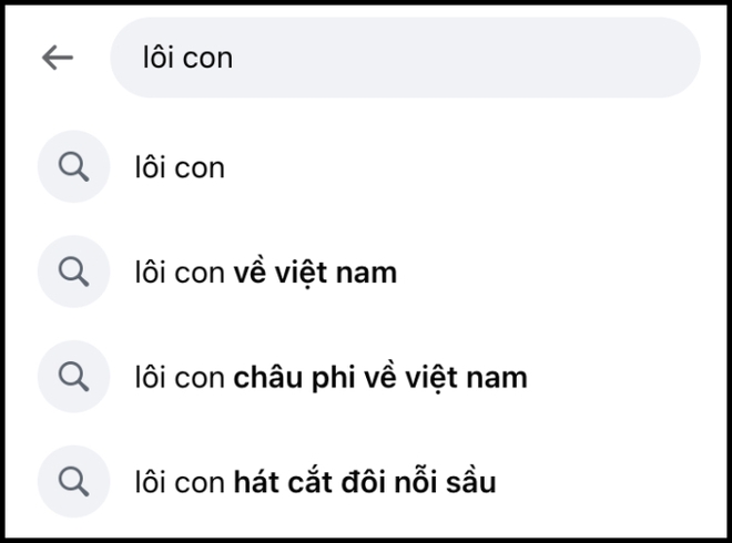 Sức hút khó tin của Lôi con ở Việt Nam: Fan xếp hàng đón ở sân bay, lên top trending khi diễn văn nghệ ở Hà Nam-6