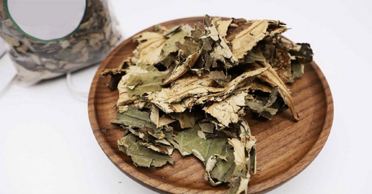 Loại lá tươi không ai ngó, đem phơi khô công dụng vàng 10 bán 400.000 đồng/kg-4