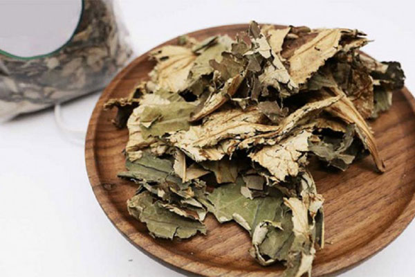 Ve sầu non đầu vụ bán giá cao ngất, lên đến 500.000 đồng/kg-3