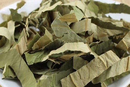 Một thứ trên cây mướp là thuốc quý cho gan, mắt và da nhưng ít người biết
