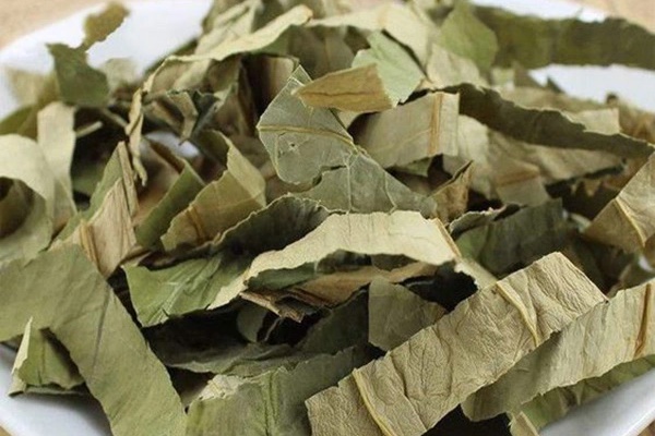 Một thứ trên cây mướp là thuốc quý cho gan, mắt và da nhưng ít người biết-2