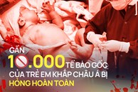 Bê bối chưa từng có ở ngân hàng máu cuống rốn trải rộng khắp châu Á: Gần 10.000 tế bào gốc của trẻ sơ sinh hỏng hoàn toàn, cha mẹ tuyên bố không chấp nhận bồi thường