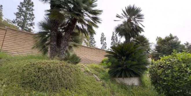 Ca sĩ Chế Phong đến thăm nhà thứ 3 của Thúy Nga ở Mỹ: Nằm trên đồi, có hồ bơi cực đẹp-7