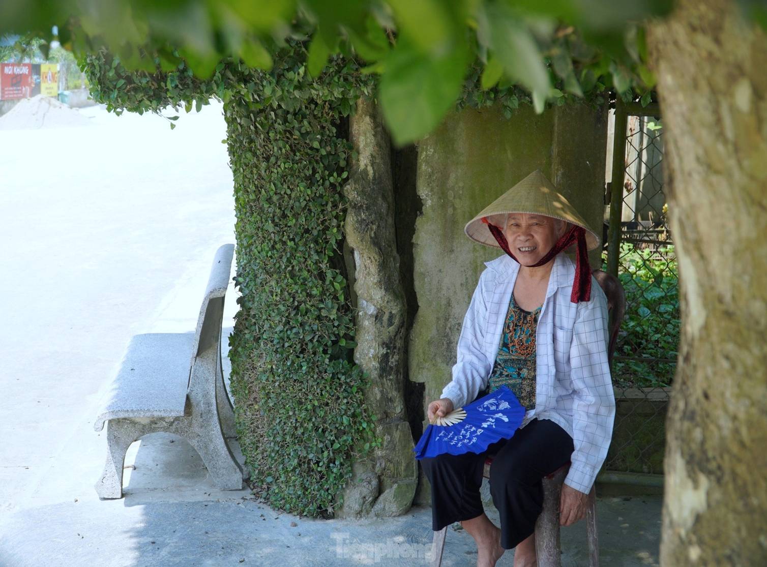 Cổng nhà, hàng rào đẹp mắt làm từ cây duối trên trăm tuổi-10