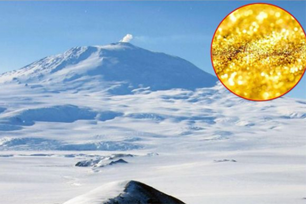 Cụ ông nhặt được 20 cọc tiền tổng trị giá 5 tỷ đồng, vội nộp cho cảnh sát: Chủ nhân của số tiền bị triệu tập nhưng từ chối nhận vì 1 lý do-3