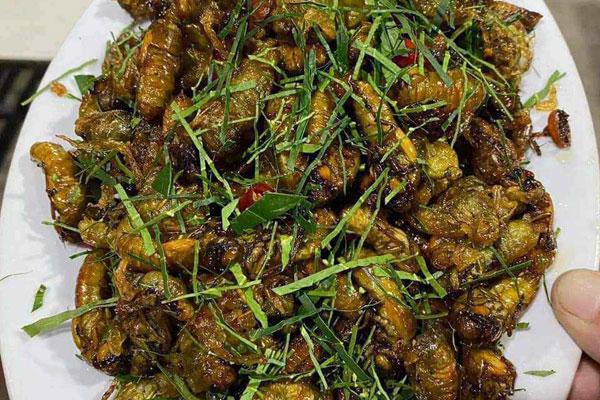 Thái Lan tham vọng thu 27 tỷ USD, cảnh báo với sầu riêng Việt Nam-3