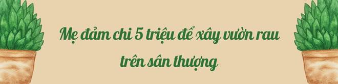 Mẹ đảm Đà Nẵng cải tạo sân thượng 20m2 để trồng rau sạch, chỉ tốn 5 triệu đồng-1