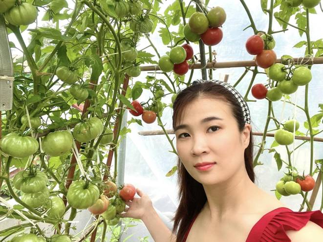 Mẹ đảm Đà Nẵng cải tạo sân thượng 20m2 để trồng rau sạch, chỉ tốn 5 triệu đồng-2