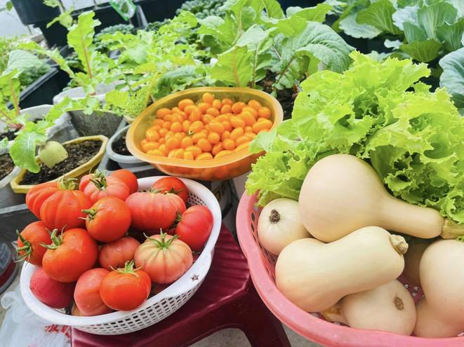 Mẹ đảm Đà Nẵng cải tạo sân thượng 20m2 để trồng rau sạch, chỉ tốn 5 triệu đồng-9