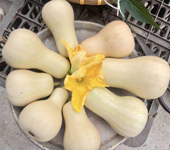 Mẹ đảm Đà Nẵng cải tạo sân thượng 20m2 để trồng rau sạch, chỉ tốn 5 triệu đồng-10