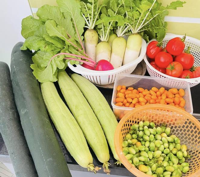 Mẹ đảm Đà Nẵng cải tạo sân thượng 20m2 để trồng rau sạch, chỉ tốn 5 triệu đồng-12