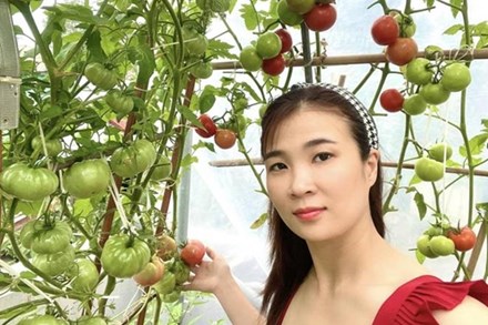 Mẹ đảm Đà Nẵng cải tạo sân thượng 20m2 để trồng rau sạch, chỉ tốn 5 triệu đồng
