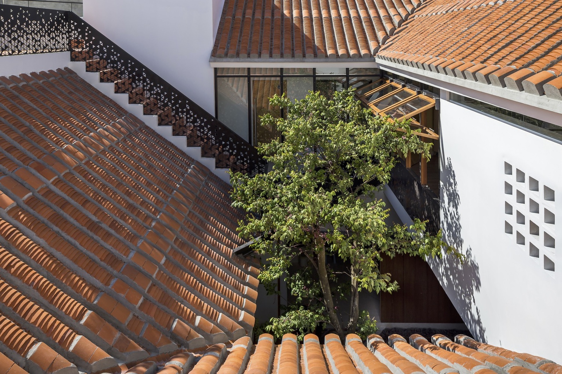 Căn nhà xoay ngang, xanh mướt và độc đáo tại Đà Nẵng-8