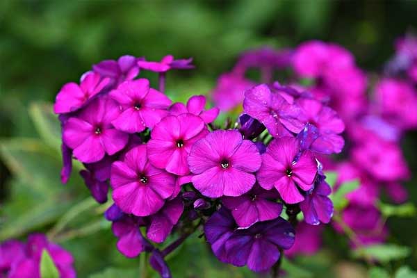 Top 3 con giáp vượt lên chính mình, đổi vận trong 7 ngày tới, tài lộc dồi dào, tình duyên như ý-1