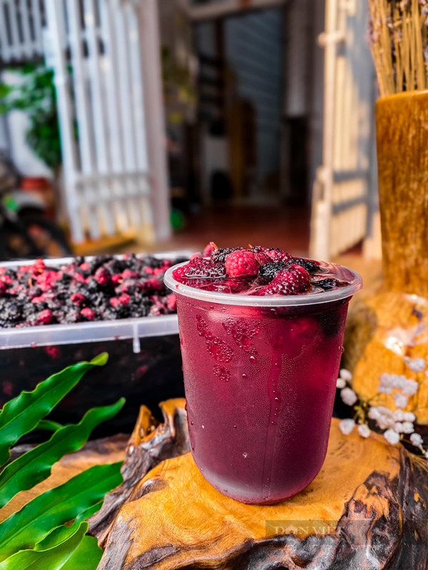 Làm nước giải khát cực chất bằng loại quả mùa hè ngon ngọt, tốt cho phổi, bổ cho tim-3