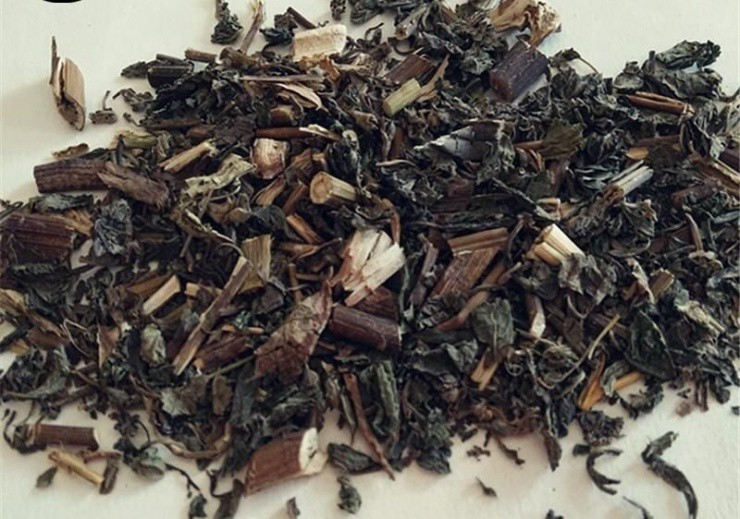 Người Việt thấy cây dại này nhớ hái ngay, tiền tươi về tay tức thì-2