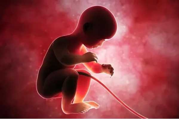 Bê bối chưa từng có ở ngân hàng máu cuống rốn trải rộng khắp châu Á: Cha mẹ phải chi trả bao nhiêu cho dịch vụ này?-3