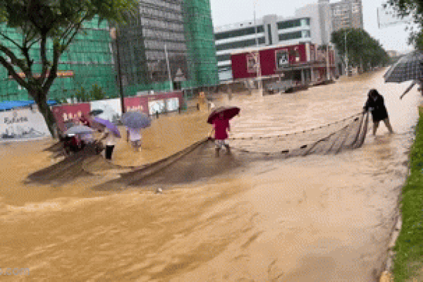 Clip: Người dân đổ xô đi bắt cá trên đường phố ngập lụt do mưa lũ