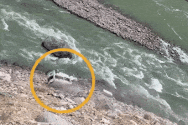 Clip: Đang đậu bên đường, ô tô bất ngờ lăn xuống vực sâu