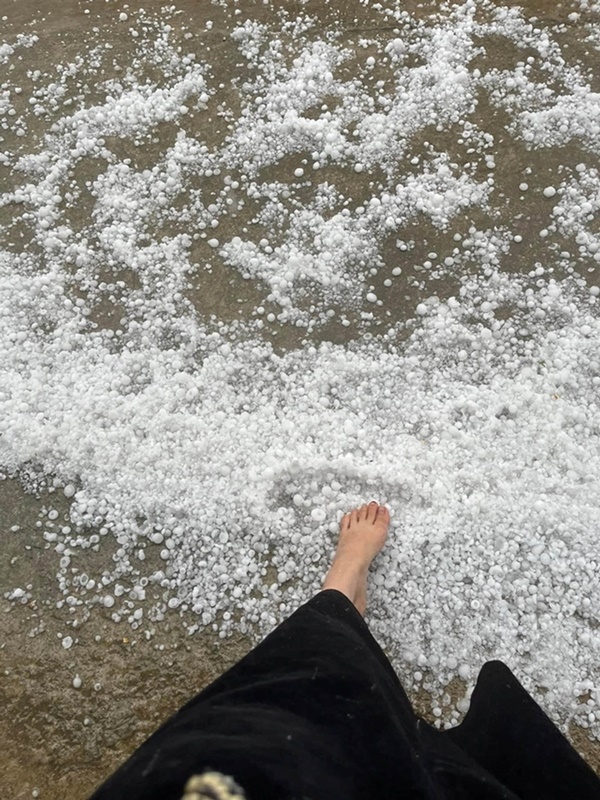 Trận mưa đá dữ dội vừa trút xuống Mộc Châu, lớp đá trắng xóa, phủ dày như tuyết-7