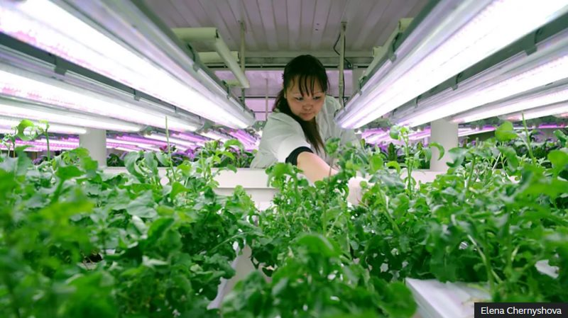 21 tấn vàng ‘chảy ra’ từ dưới lớp băng giá mỗi năm khiến cả thế giới khao khát: Mỏ vàng nằm ở nơi ‘tận cùng thế giới’ gây bất ngờ với những công nghệ tối tân-8