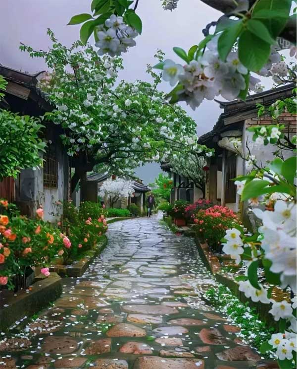 Từ tháng 5 đến tháng 6, 3 con giáp chuyển vận, cơ hội đến tay, tiền tài vào túi, vui vẻ mỗi ngày-2