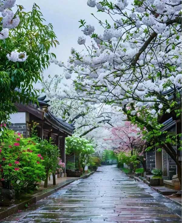 Từ tháng 5 đến tháng 6, 3 con giáp chuyển vận, cơ hội đến tay, tiền tài vào túi, vui vẻ mỗi ngày-1