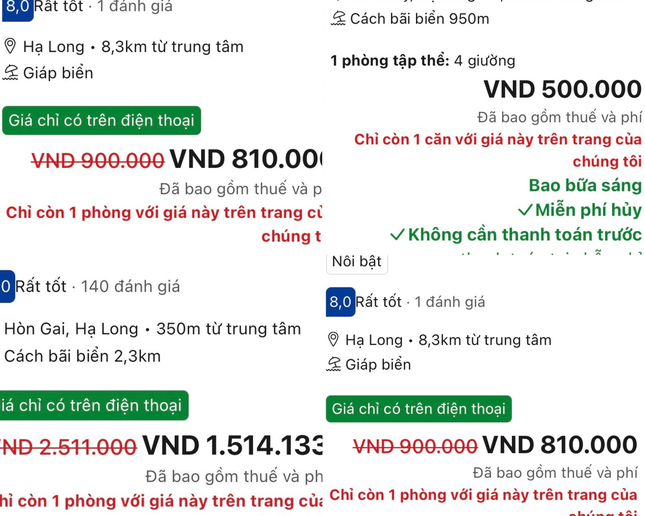 Chưa nghỉ lễ đã cháy tour du thuyền vịnh Hạ Long-3