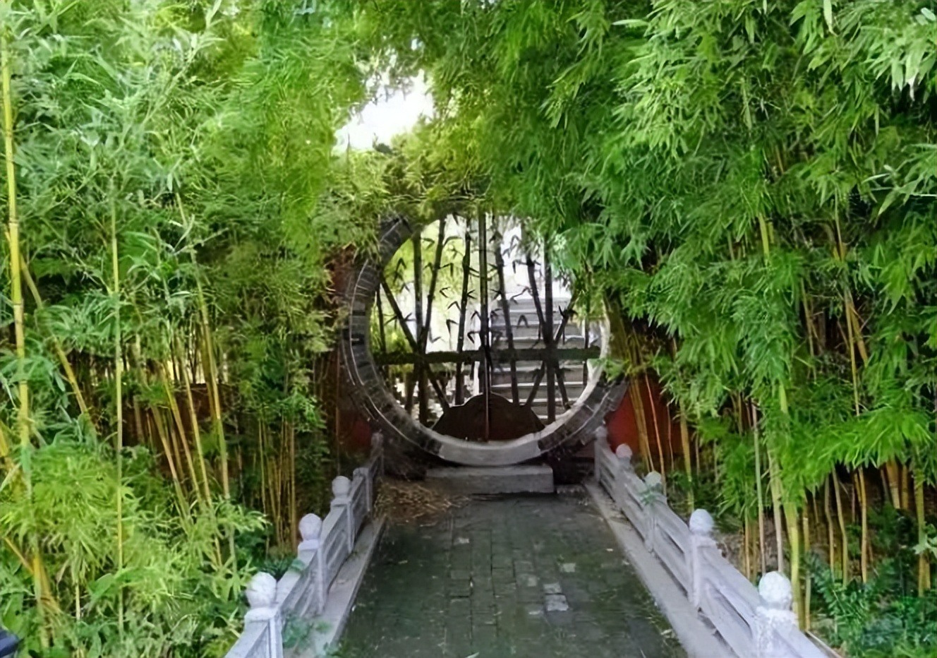 Đừng trồng cây cảnh trong sân một cách mù quáng, hoa đẹp mấy cũng coi chừng hối không kịp-13