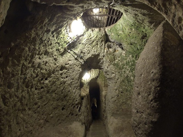 Đàn gà cứ mất tích rồi lại xuất hiện: Anh nông dân lần theo dấu vết, chứng kiến cảnh cả đời thấy 1 lần-3