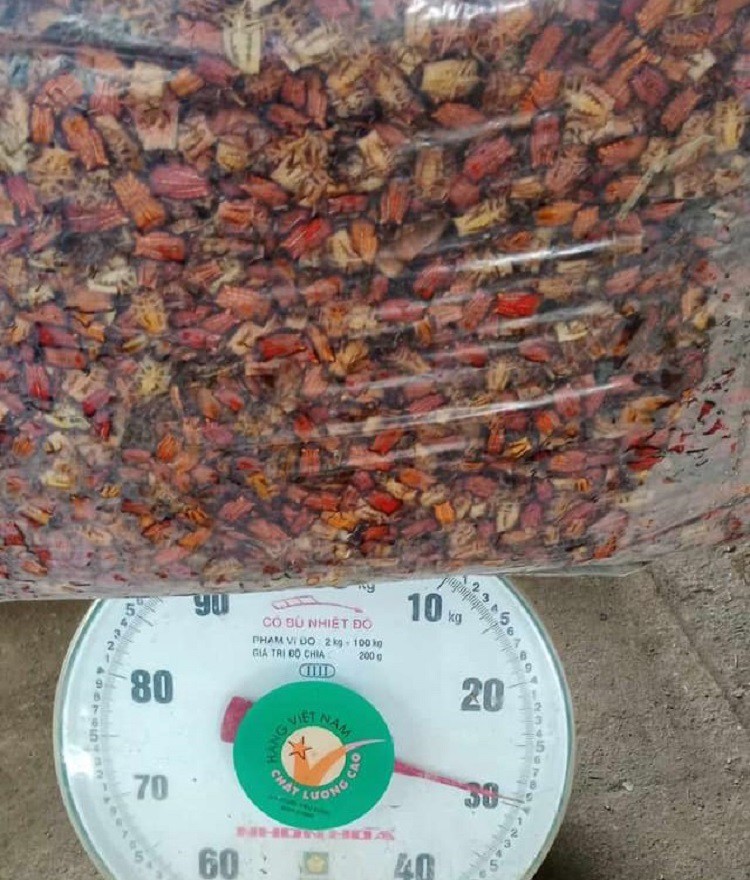 Loại côn trùng hôi hám bất ngờ có giá đắt hơn thịt bò, có bao nhiêu cũng bán hết-4